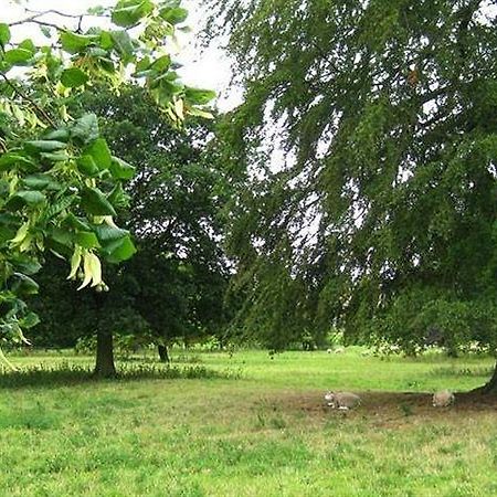 Apple Tree Cottages Saltmarshe Exterior foto